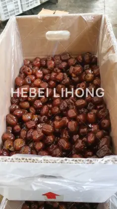 10kg Seedless Honey Red Dates