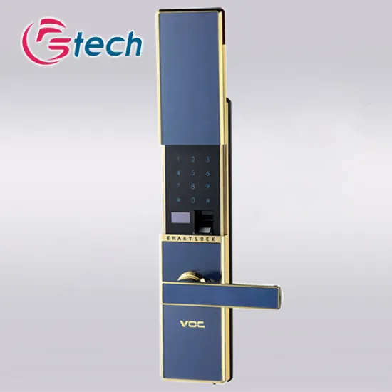 High quality elegant appearance smart apartment lock