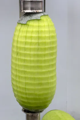 Automatic Tropical Fruit Peeler: Pumpkin, Pineapple, Mango, Jackfruit, Coconut, and Breadfruit