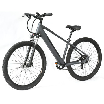 China Factory Sale: Aangepaste hoogwaardige 7-versnellingsbak Midden-Drive 29 inch MTB elektrische fiets