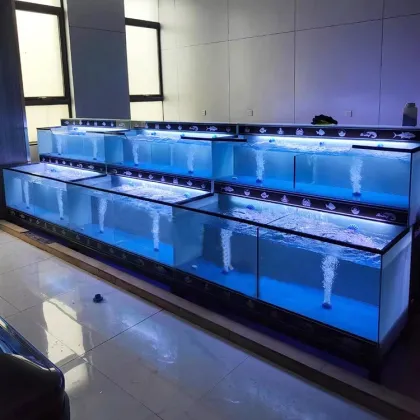 Live Lobster Farming Tank for Restaurants and Seafood Shops