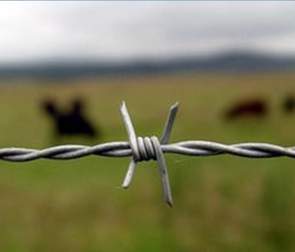 barbed wire