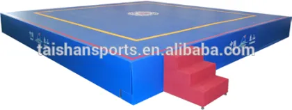 New Type professional wushu sanda ring