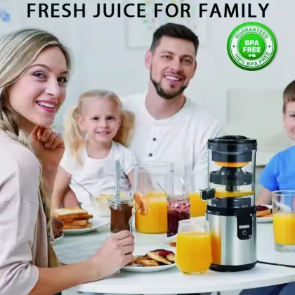 Multifunctional portable electric juicer