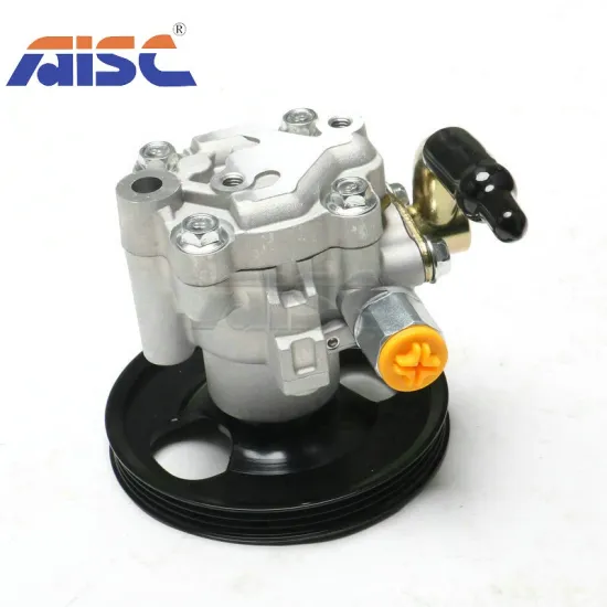 Auto Parts AISC 49110-95F0A Power Steering Pump for Nissan Almera