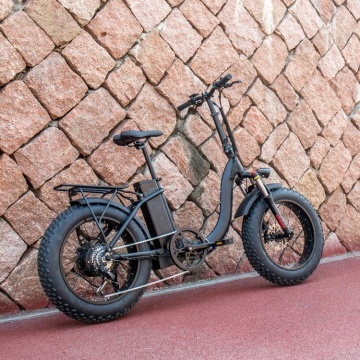 Changzhou 48V 500W دراجة الأوساخ الكهربائية مع إطارات الدهون 20 بوصة وبطارية Li-ion: أفضل بائع في ebikes على الطرق الوعرة