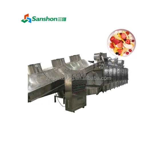 China Fruit and Vegetable Drying Processing Line Machines & Equipment