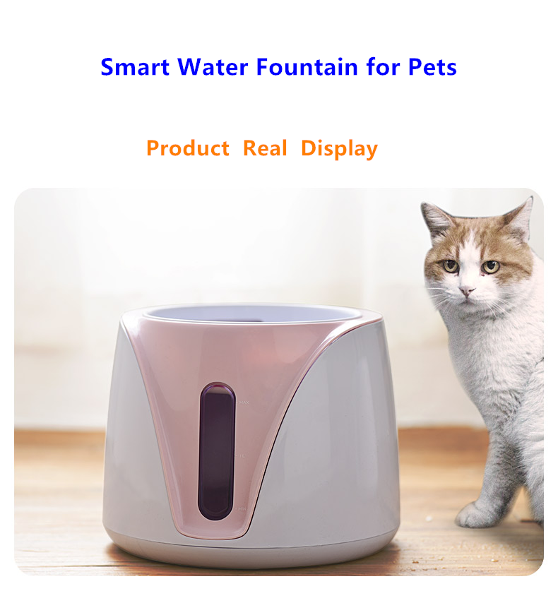 pet water dispenser
