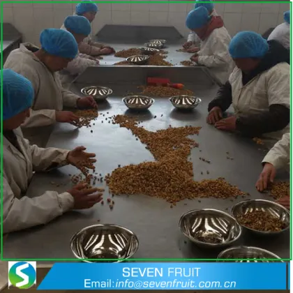 Dried Common Style and Food Use whole walnut nuts