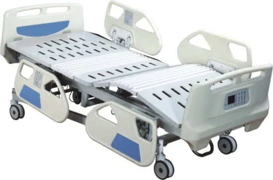 Six Function Luxurious Electric Care Beds (With Weighing Function)