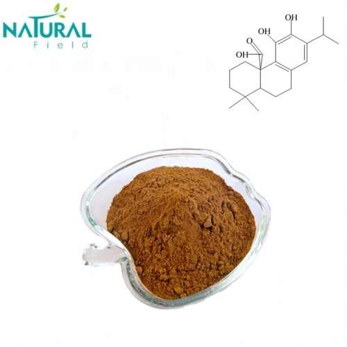 Hot Selling extract rosemary extract carnosic acid powder Manufactory