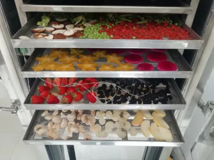 Freeze Dried Fruit Processing Machine