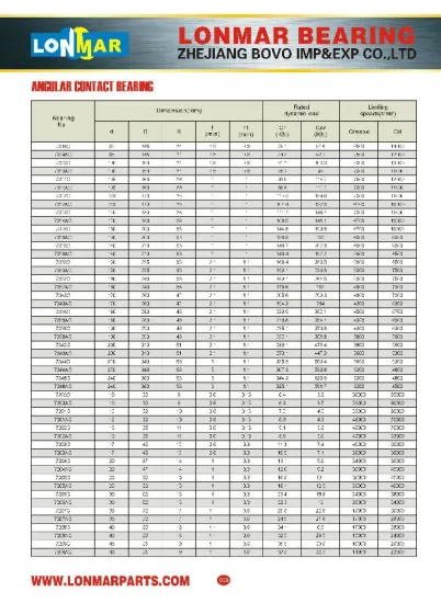 02 ANGULAR CONTACT BEARING 7019C 7019AC 7020C 7020AC 7021C