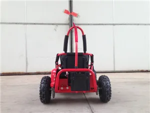 Ice Bear Dune Buggy for Kids