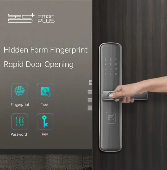 Wifi Smart Door Lock Front Door For Apartments