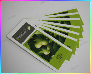 Promotional A4 size color flyer printing