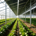 Invernadero agrícola fotovoltaico para cultivo interior