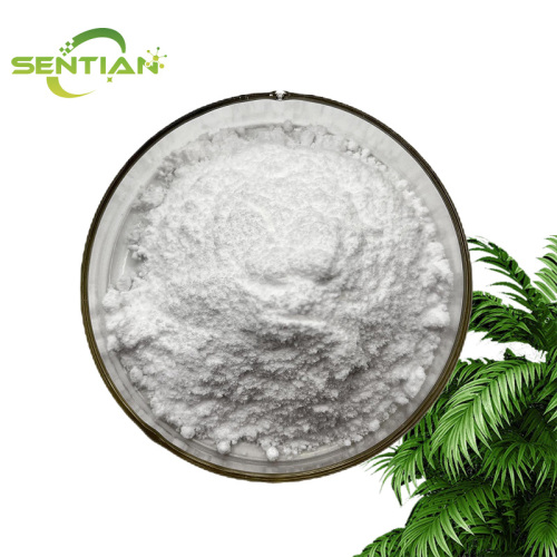 High-Quality Saw Palmetto Capsules