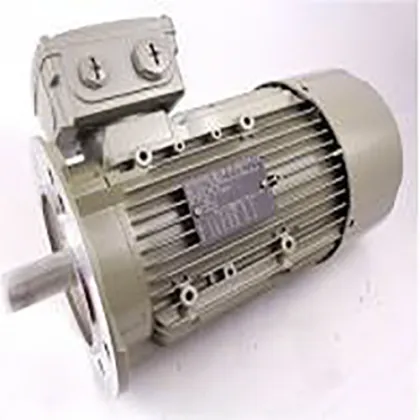 SIEMENS Gear Motor