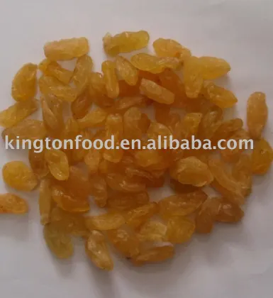 dried golden raisin