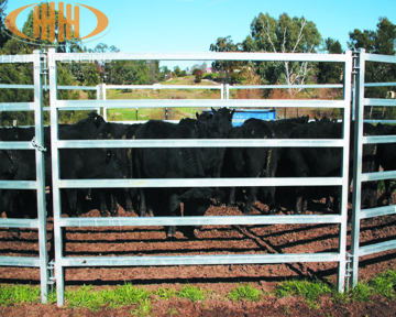 Heavy duty galvanized welded livestock yard cattle panels