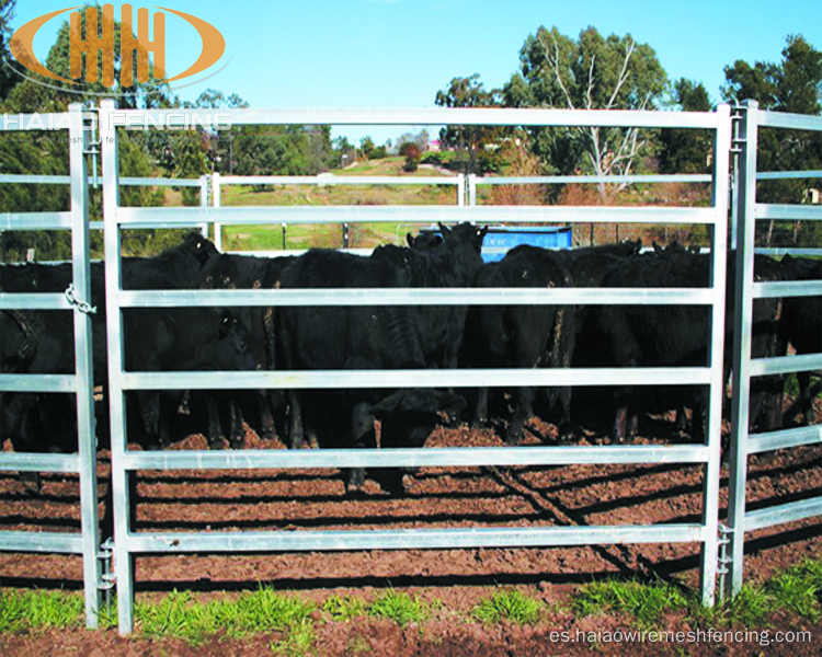 Paneles de ganado de patio de ganado soldado con galvanizado de servicio pesado
