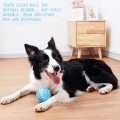 Bola de sonido interactiva Dog Chew Ball Toy