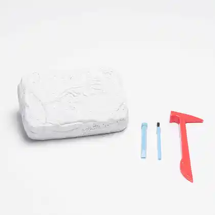 Dinosaur Stone Fossil Digging toys