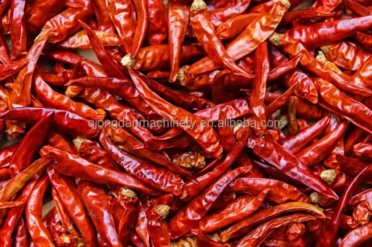 Nut and Grain Processing Equipment: Dryer and Roasting Machine