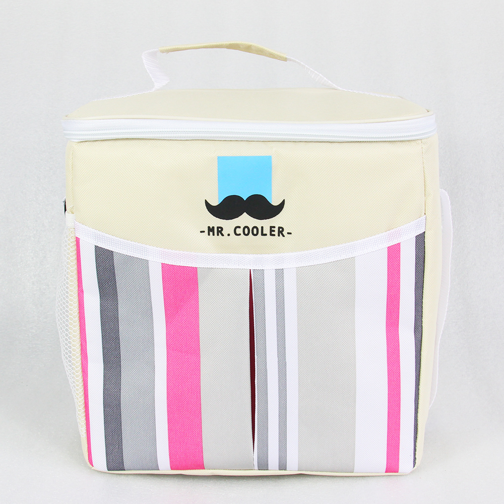 Picnic Almacenamiento Casual Rayas Hombres Mujeres Enfriador Bolsa