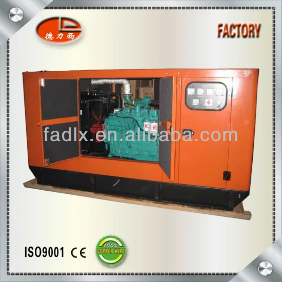 Delixi High Quality Cummins Silent diesel Generator Set