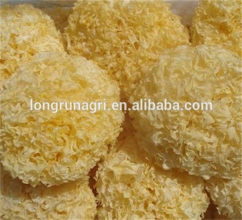 Well-Received Dried White Fungus from China