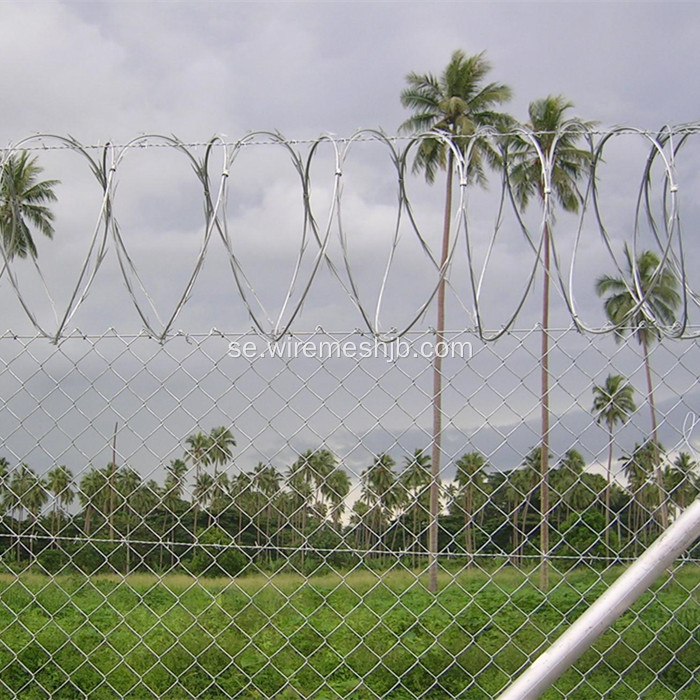 Hot Dipped Galvaniserad Concertina Razor Wire BTO-22