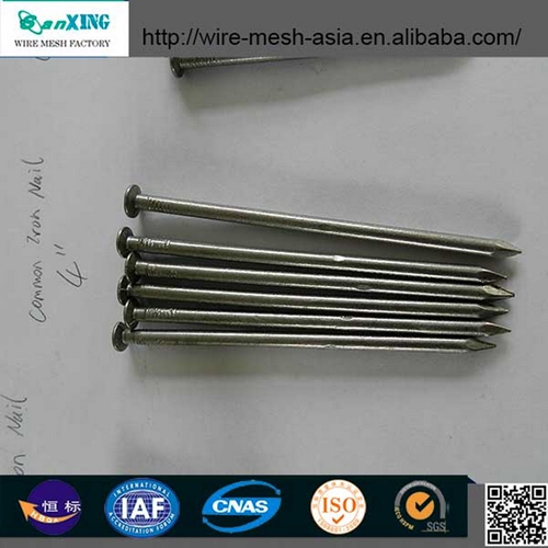 Hot Sales Q195 Common Nail Hardware