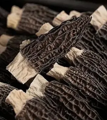 Sulfur Free No Additive Dried Morel