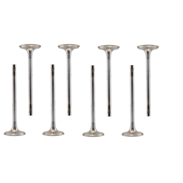 Exhaust Valve 1113189 High Performance