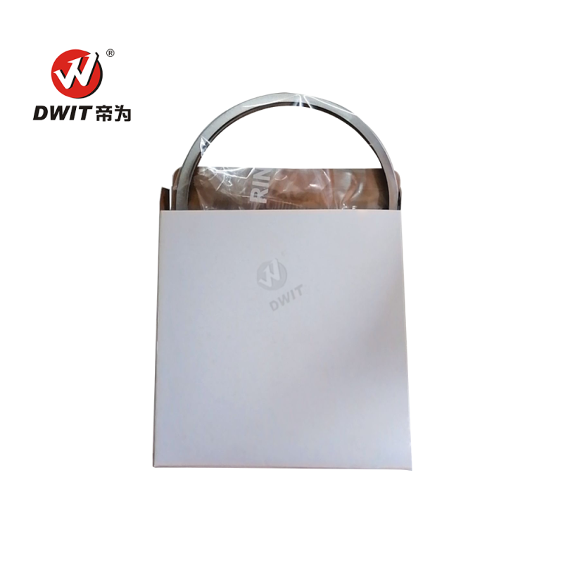 High-Quality OEM Durable Piston Ring 1W5105 for CATERPILLAR