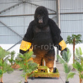 Hình ảnh hoạt hình King Kong chất lượng cao