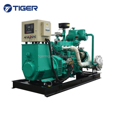 30kW Biogas CHP Generator for Combined Heat and Power Cogeneration