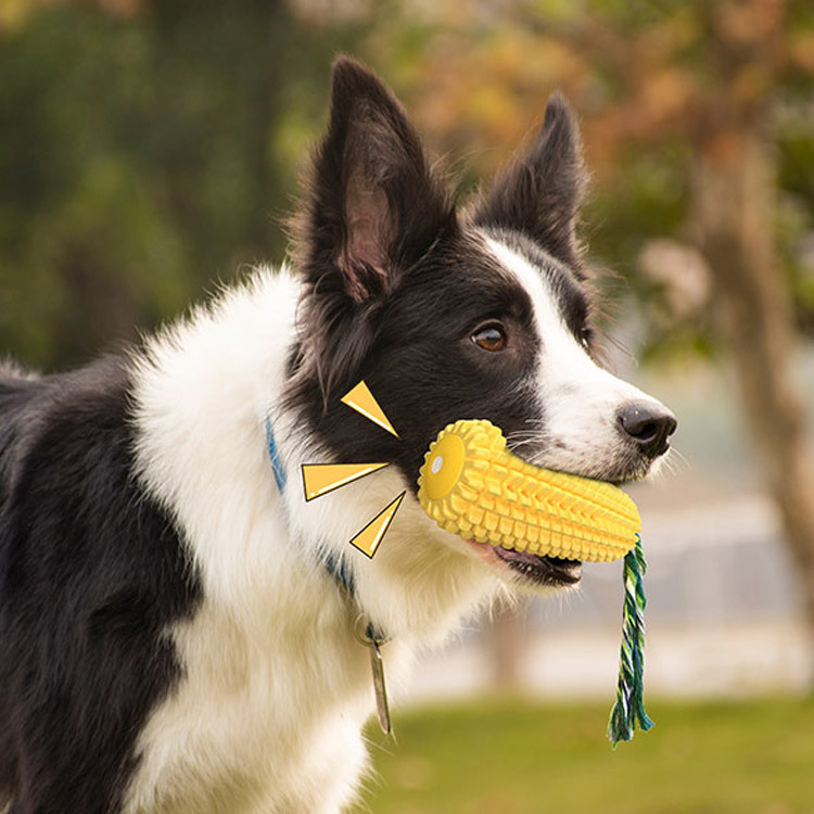 Squeaky Pet Dog Chew Toy