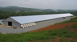 Prefabricated Chicken House/Pig Shed/Poultry House