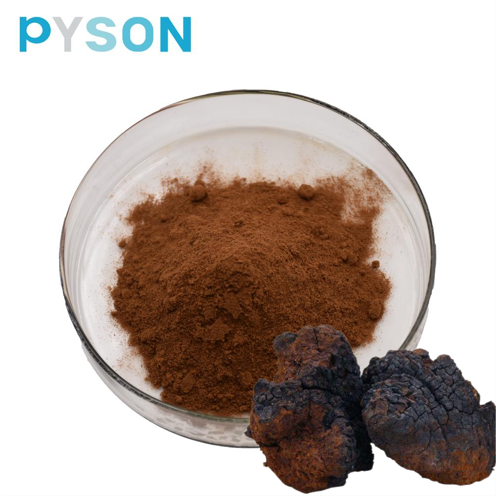 chaga mushroom supplement