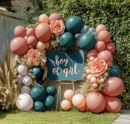 Gender Reveal Balloon Set for Baby Shower Events