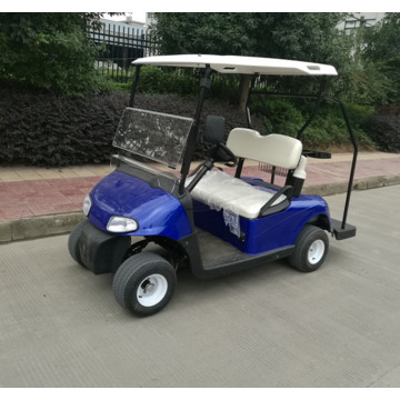 venta caliente coche de golf pequeño de 2 plazas