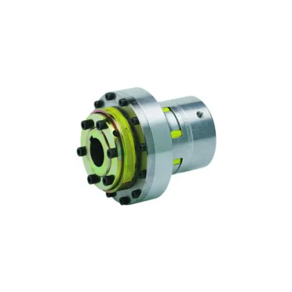 High Quality KTR-SI Overload Torque Limiter Coupling Safety Clutch for Sale