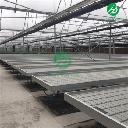 High-Quality Customized Agricultural Greenhouse Hydroponic Equipment by Hangdi Factory