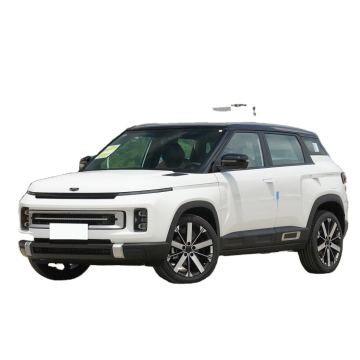 2023 New High Speed SUV Electric Cars for Adults - Buy China EV Motors