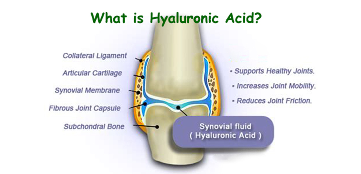 Hyaluronic Acid 14