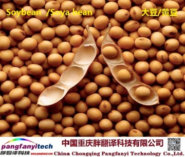 Healthy Nutritious Self-planted Dried Soybean