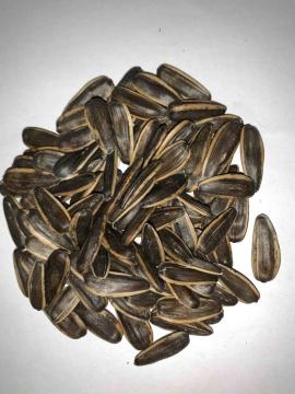 Creamy sunflower seeds